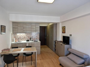 New Gudauri Studio